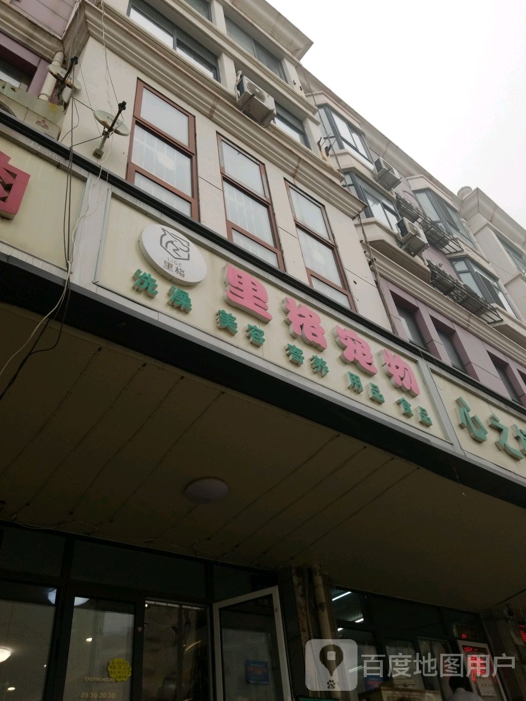 里格宠物
