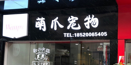 萌爪宠物