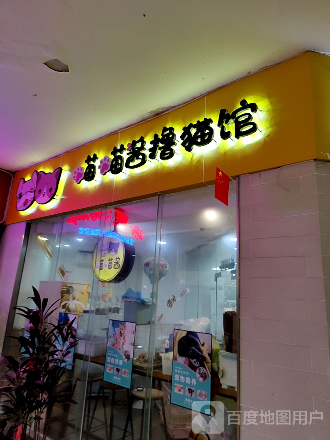 喵喵酱撸猫馆(亚新生活广场店)