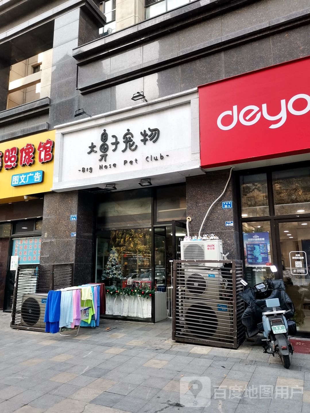 大鼻子宠物