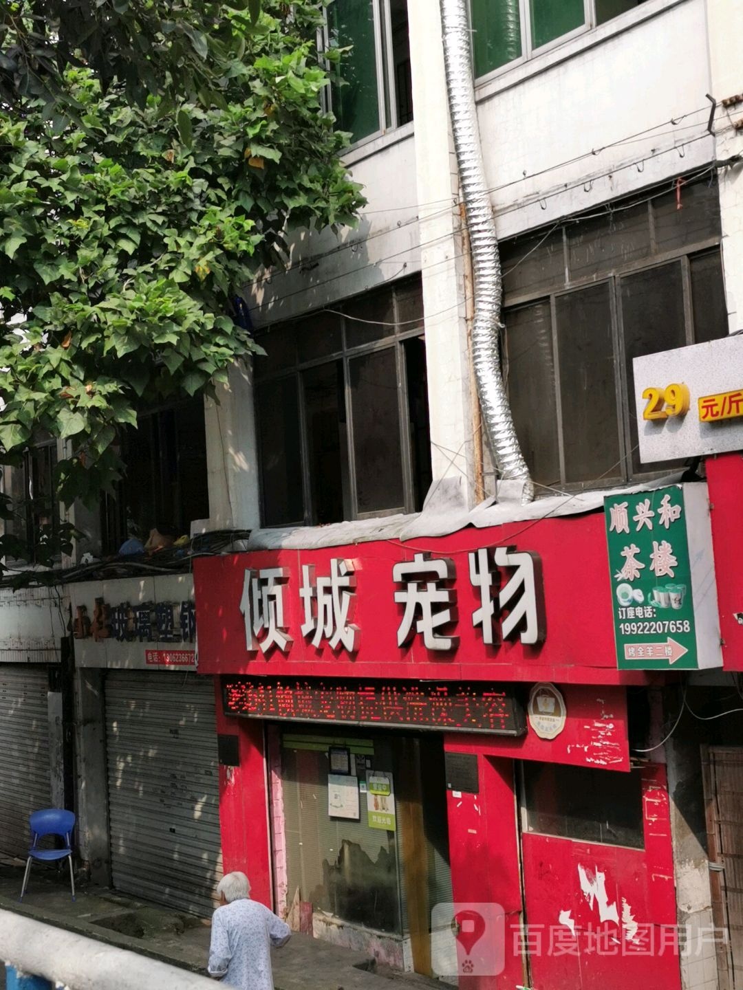 倾城宠物