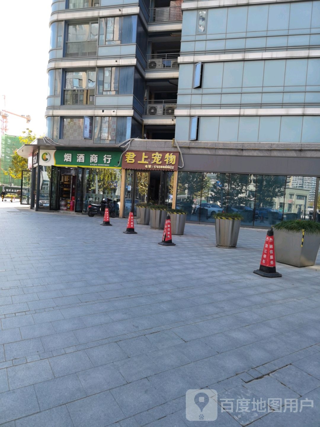 君上宠物
