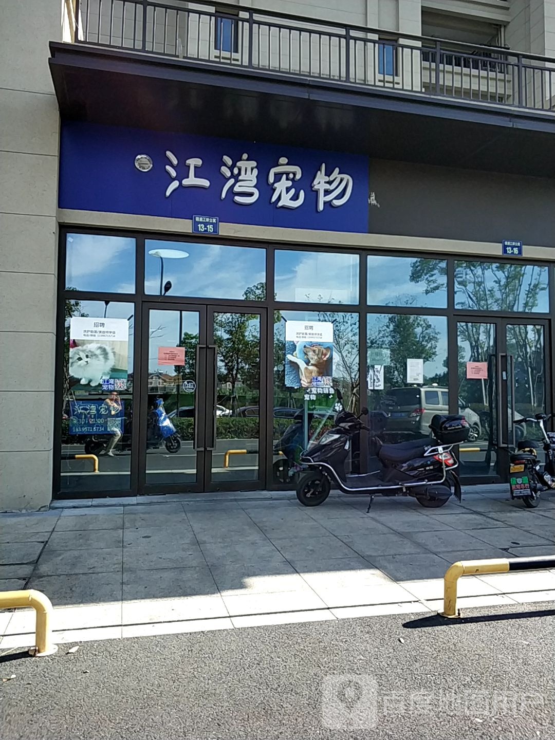 江湾宠物