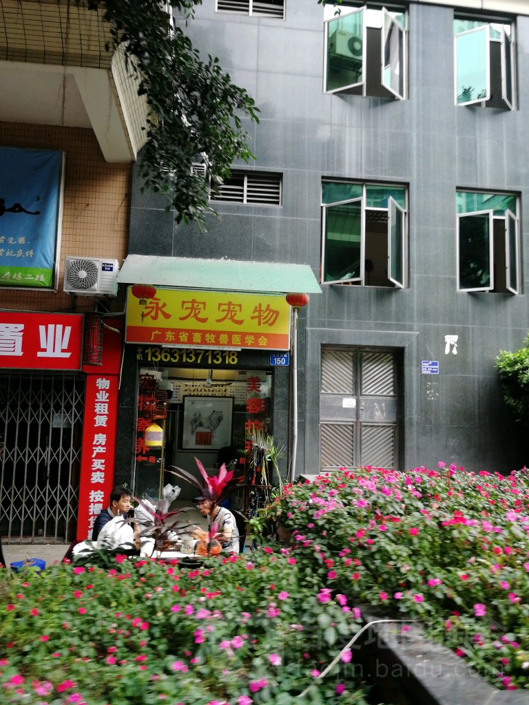 永宠宠物