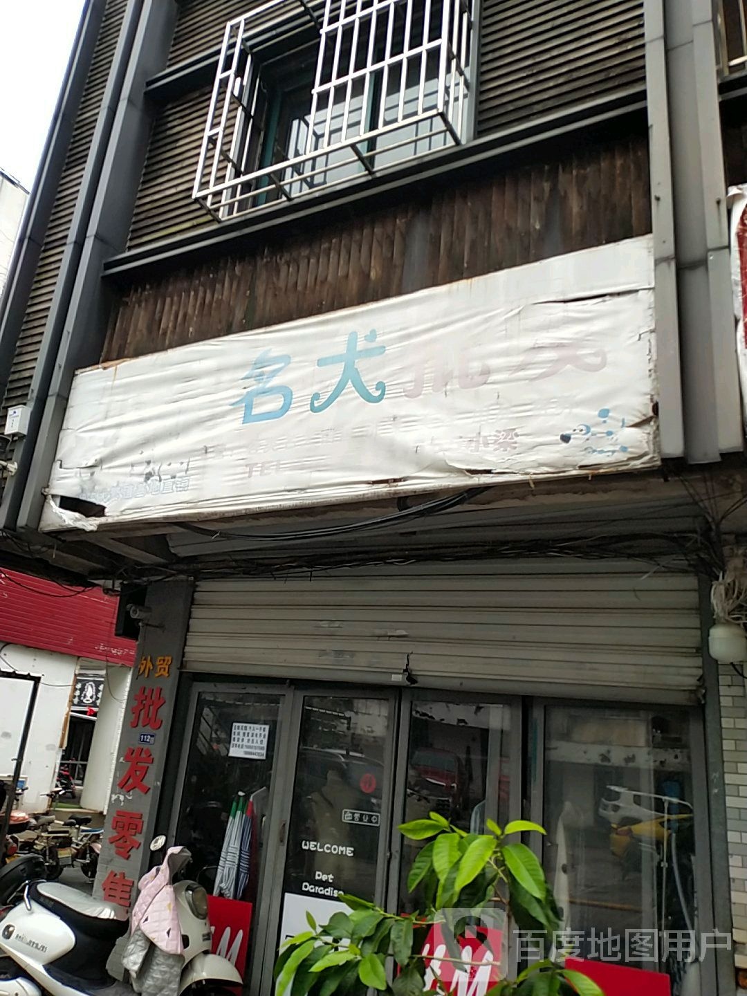 小梁名犬批发