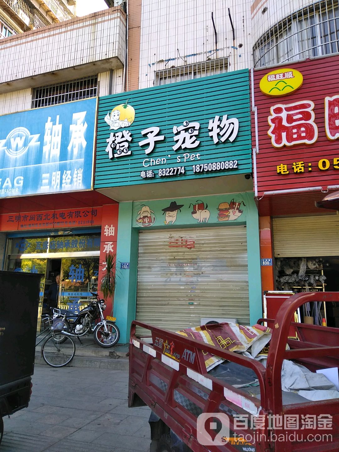 橙子宠物