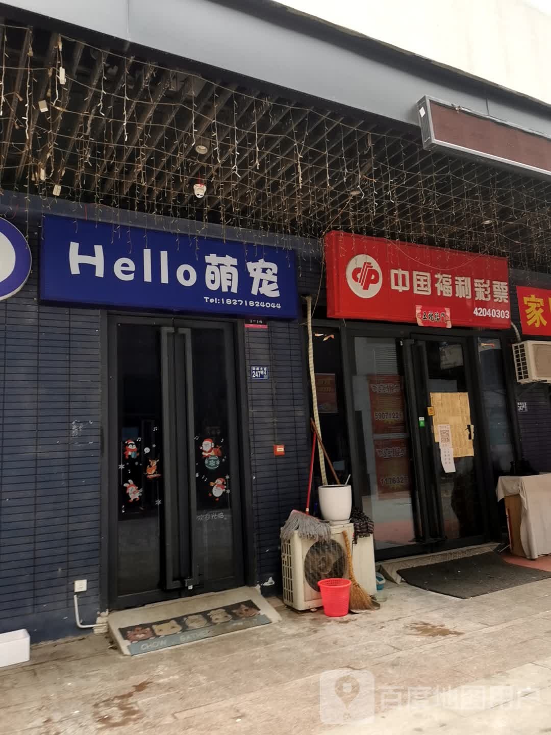 萌宠
