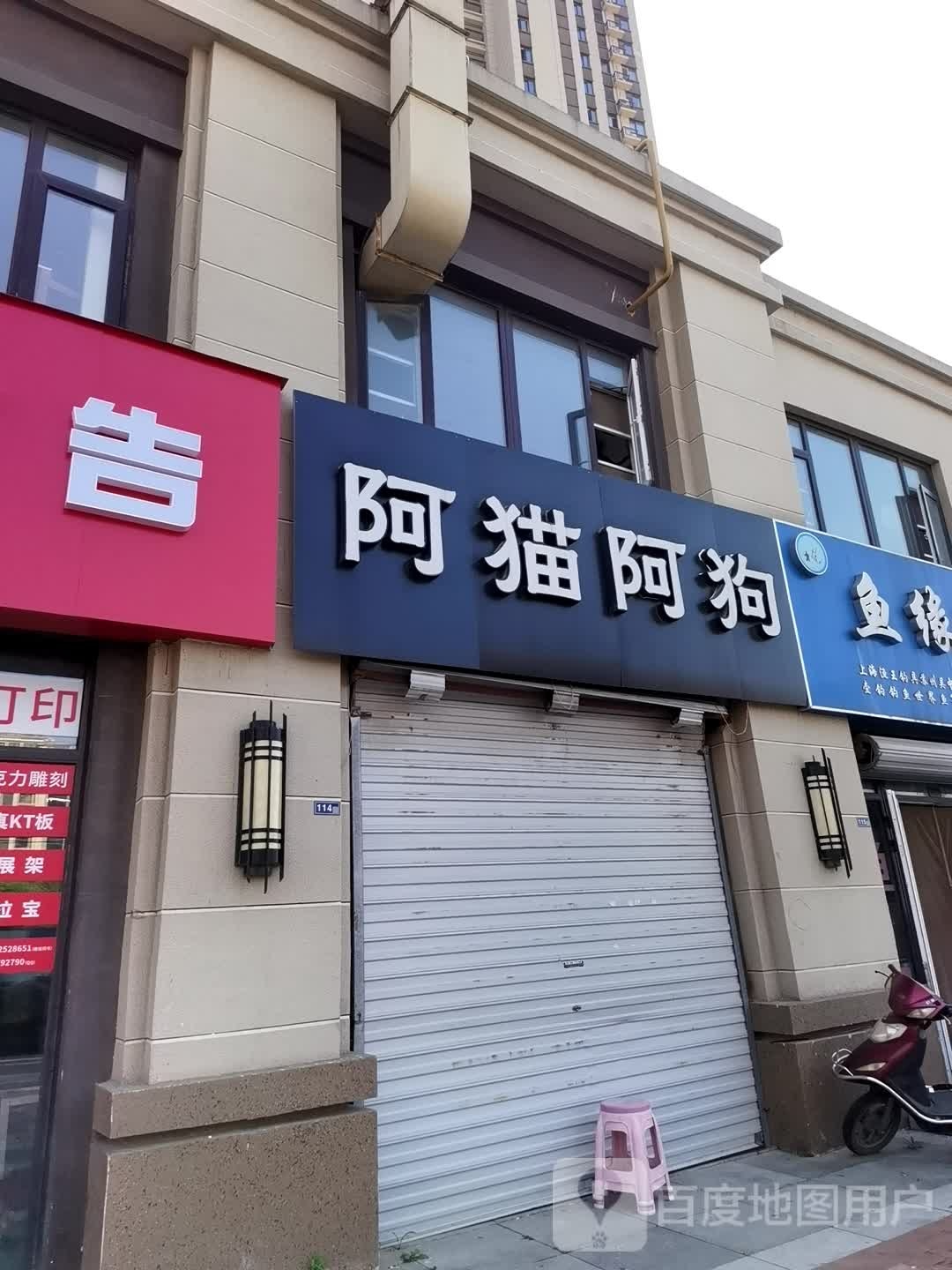 阿猫阿狗
