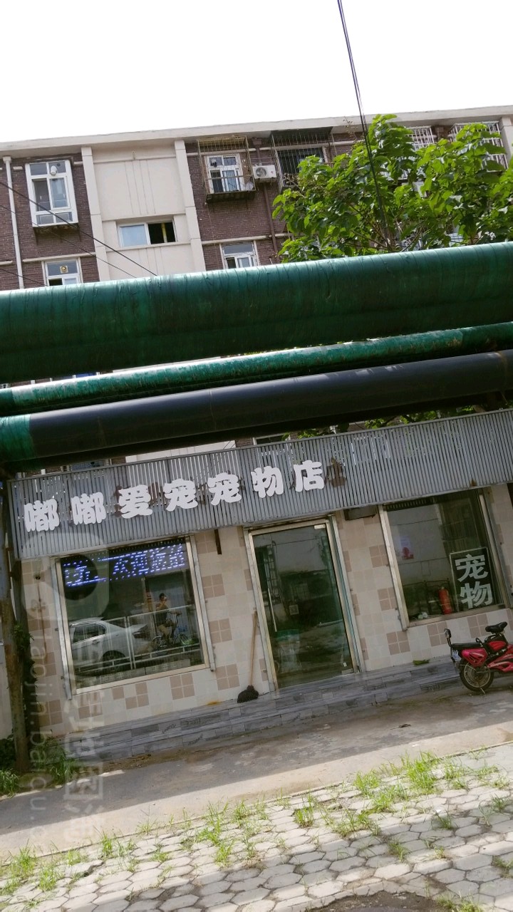 嘟嘟爱宠宠物店