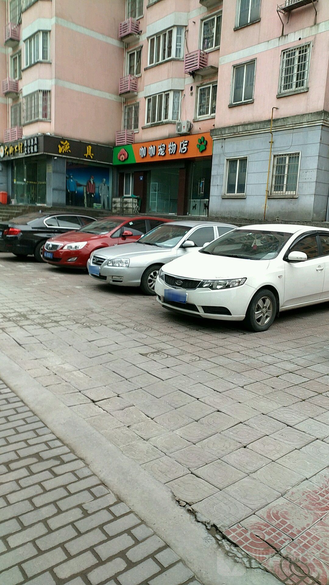 咖咖宠物店(萧山店)