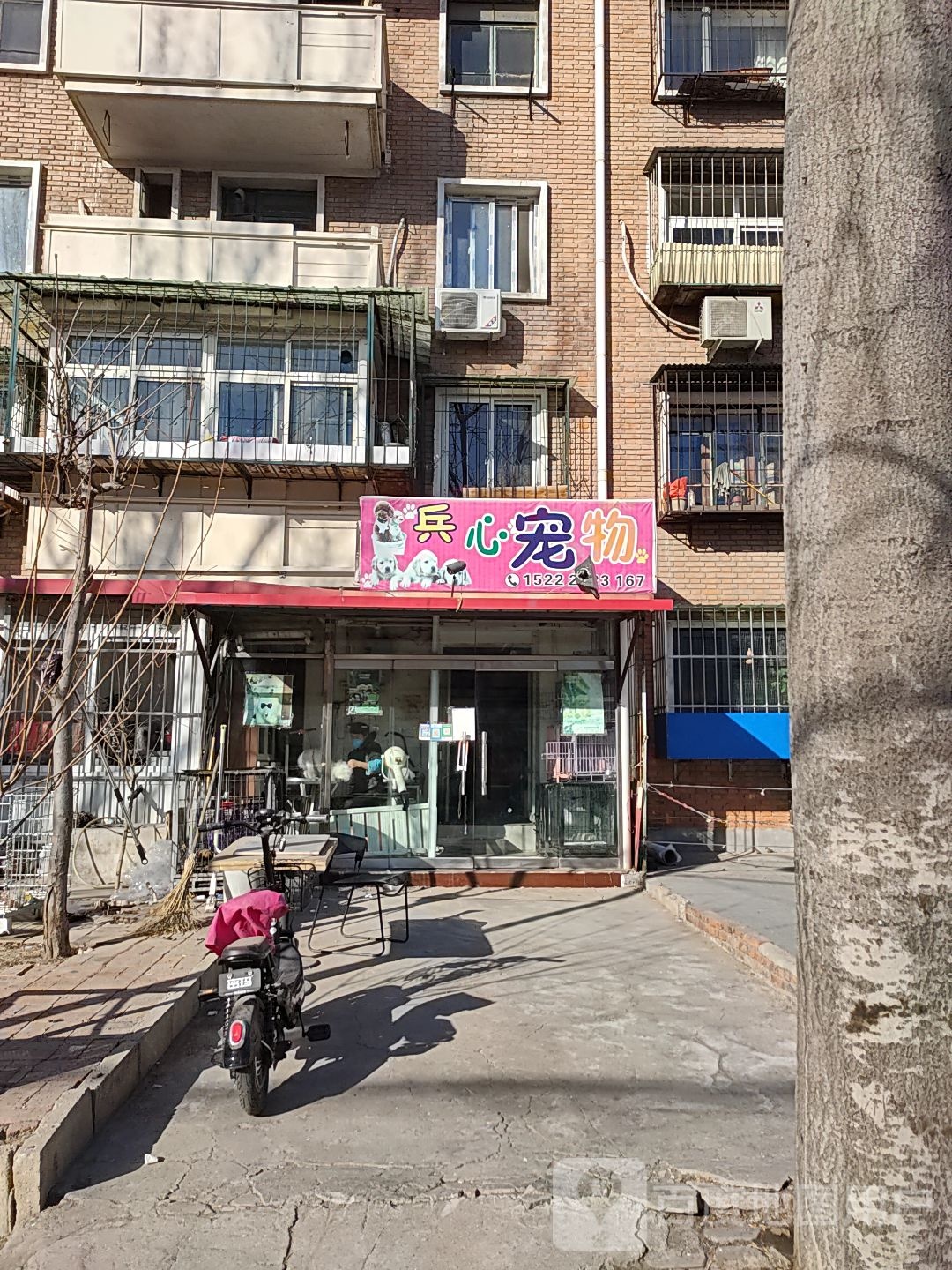 兵心宠物美容佳苑