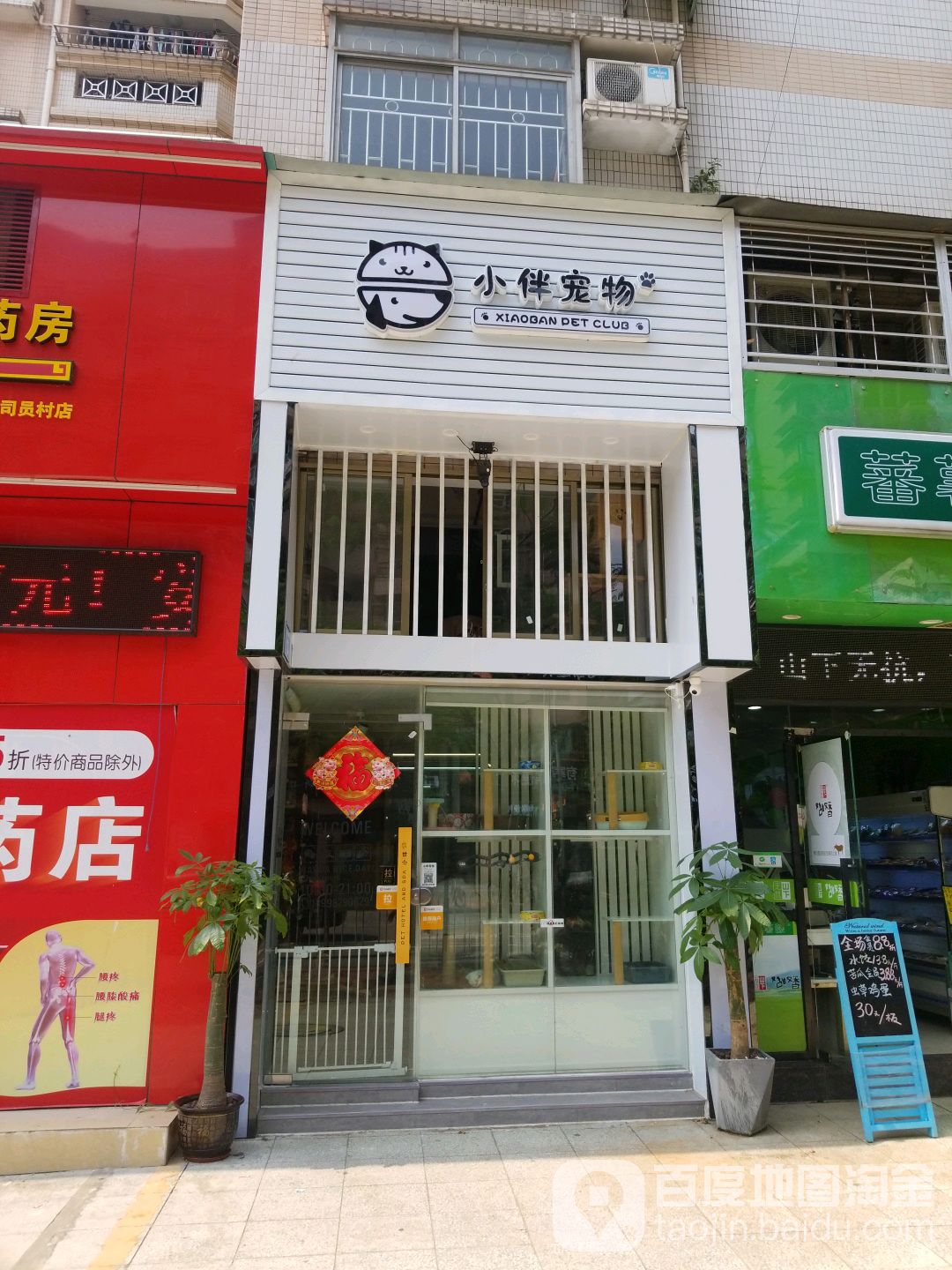 小伴宠物(天河公园店)