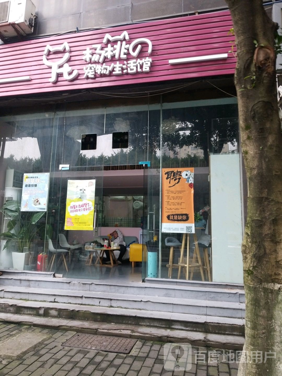 杨桃の宠物生活馆