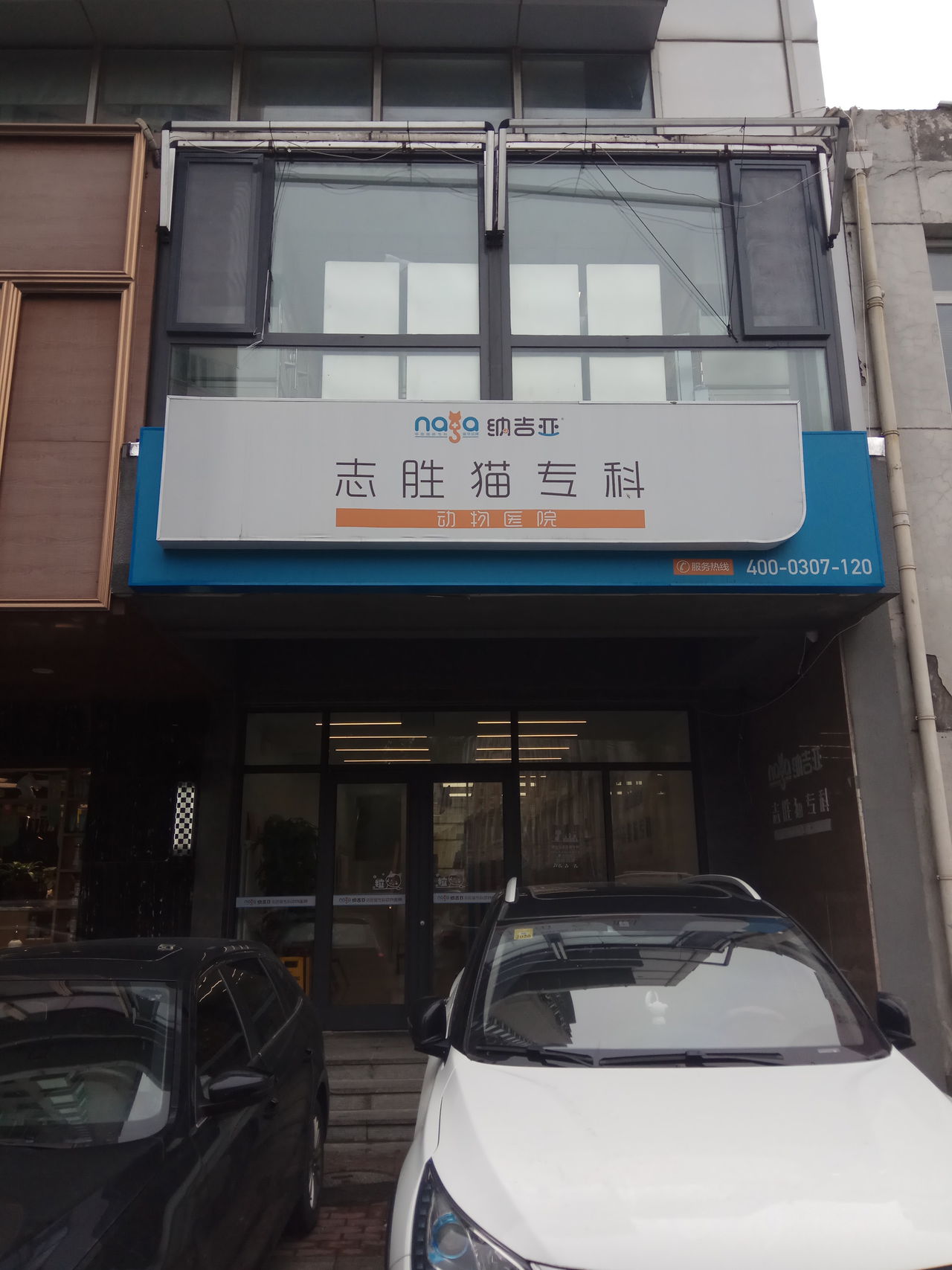 纳吉亚志胜猫专科动物医院
