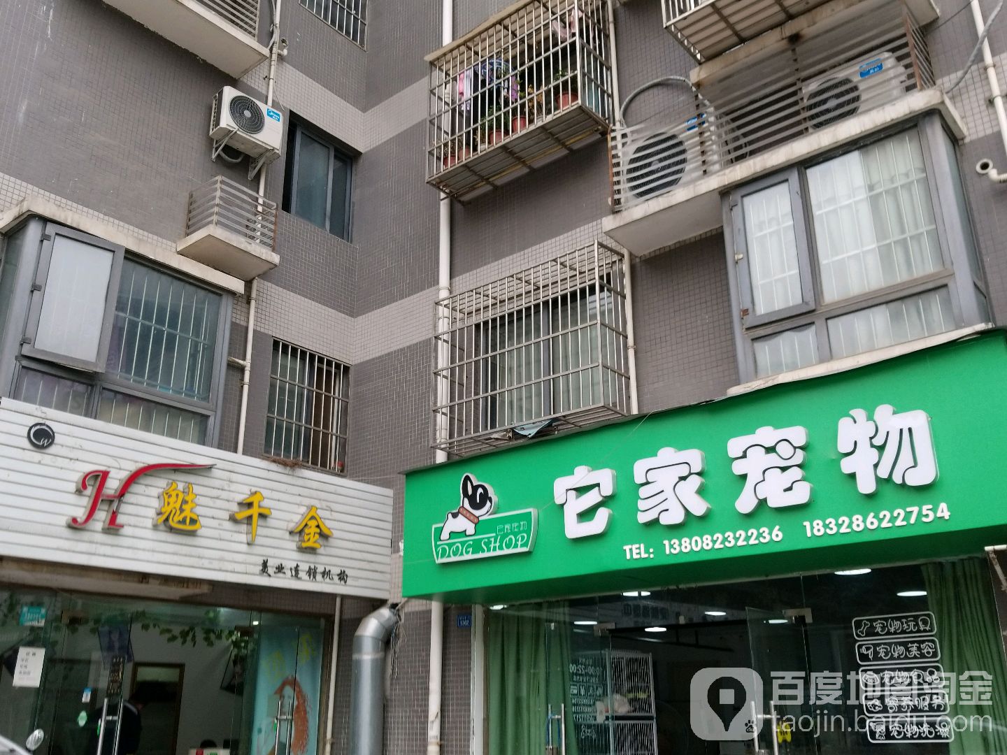 它家宠物