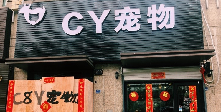 CY宠物