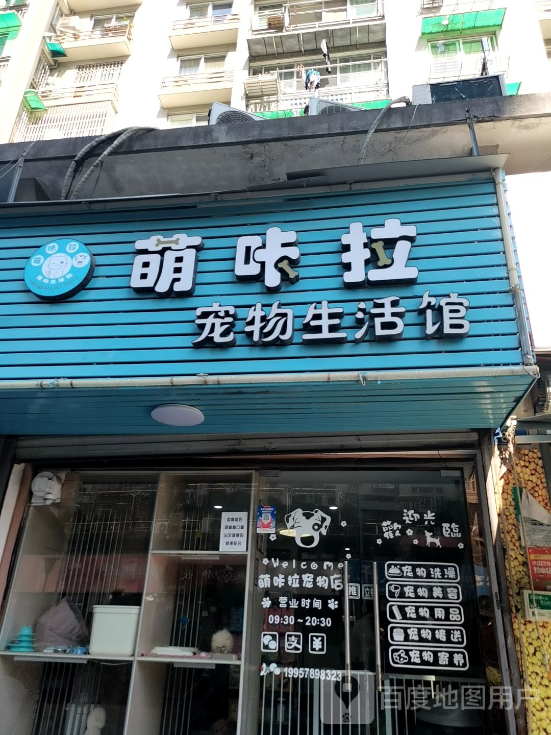 萌咔拉宠物生活馆