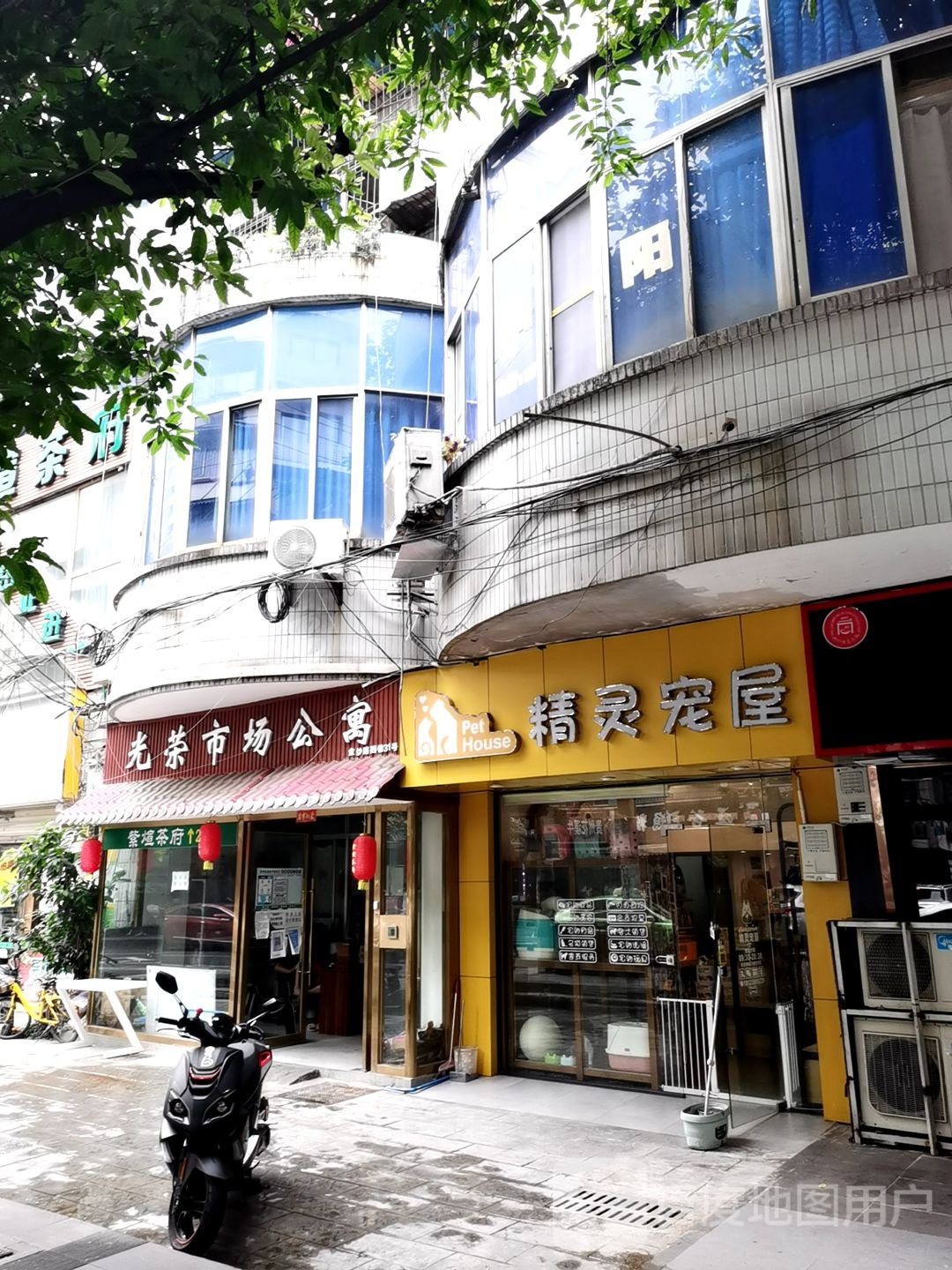 精灵宠屋