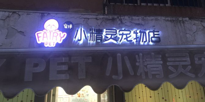 宠伴小精灵连锁宠物店(鼓楼店)