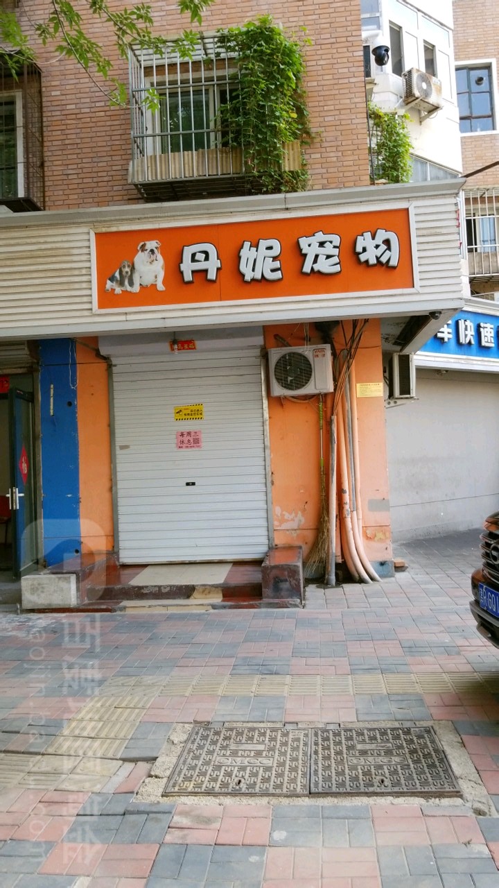 丹妮宠物