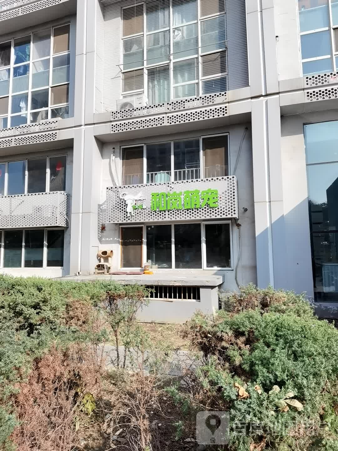 和岚萌宠