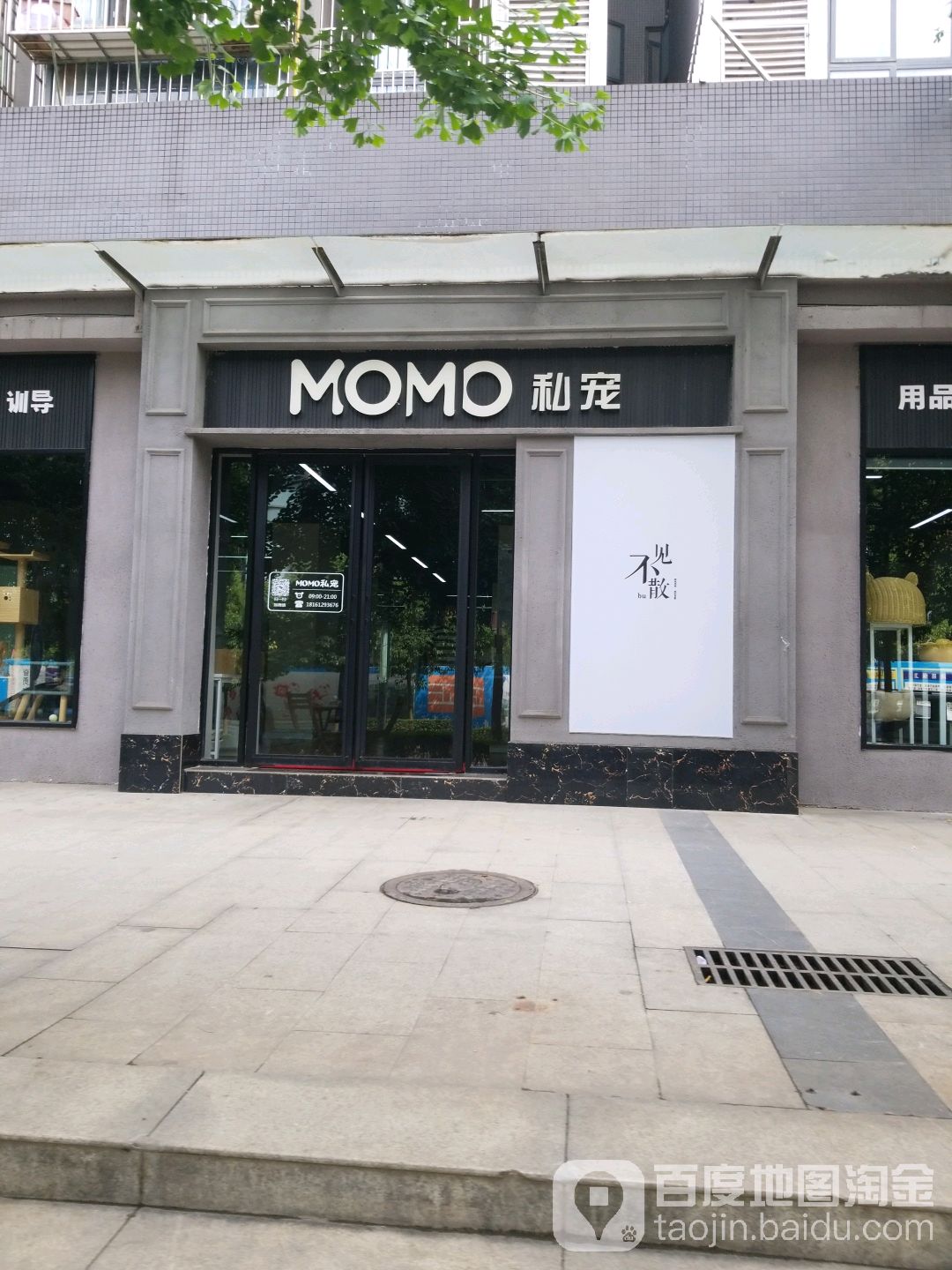 MOMO私宠