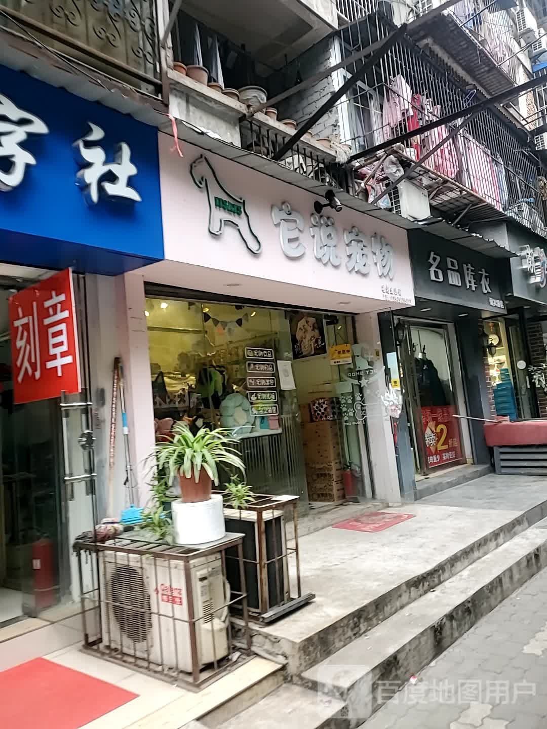 它说宠物