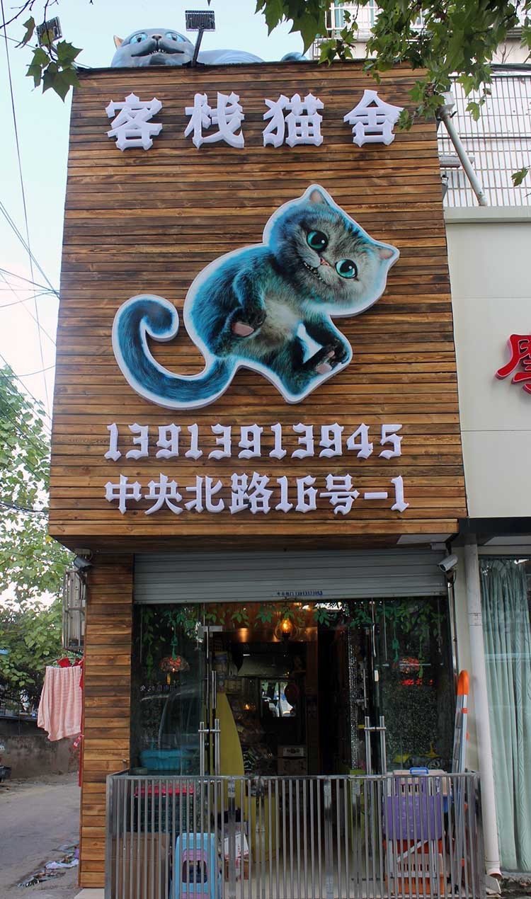 客栈名猫舍(中央北路)