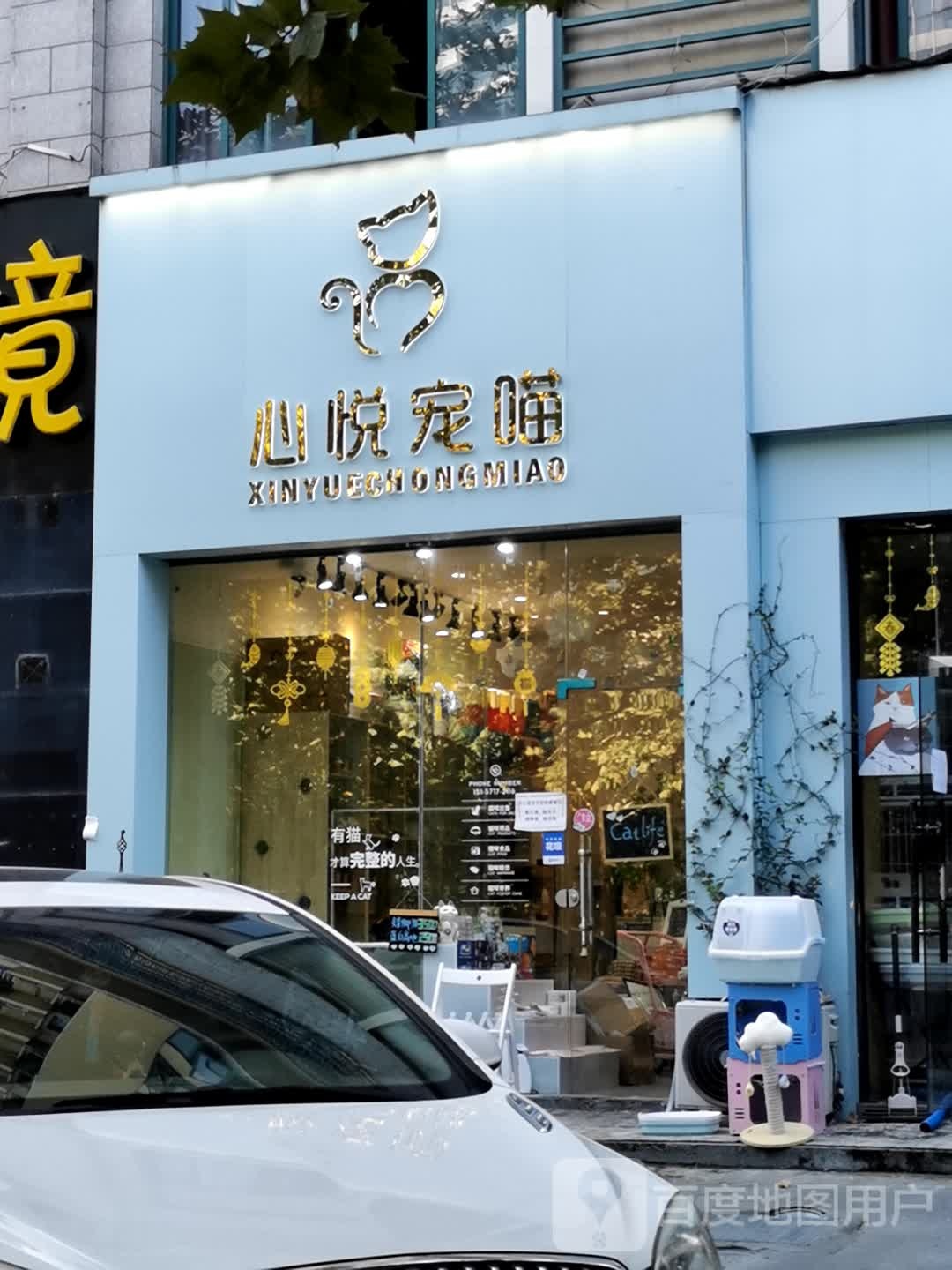 心悦宠喵