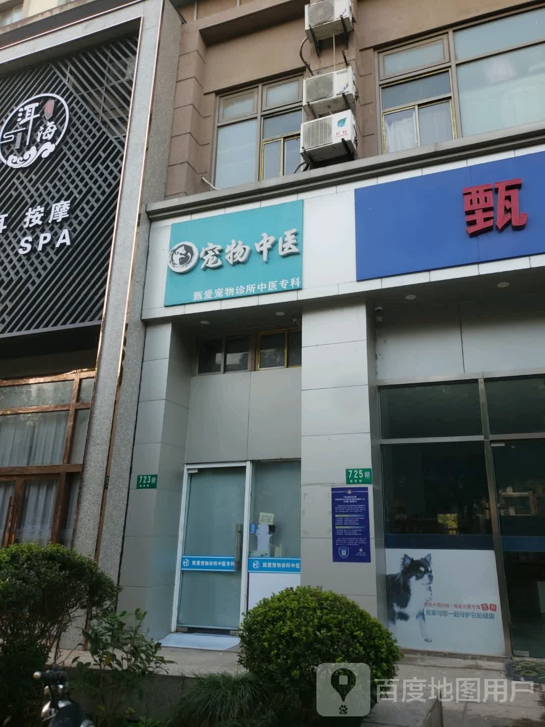 宠物中医