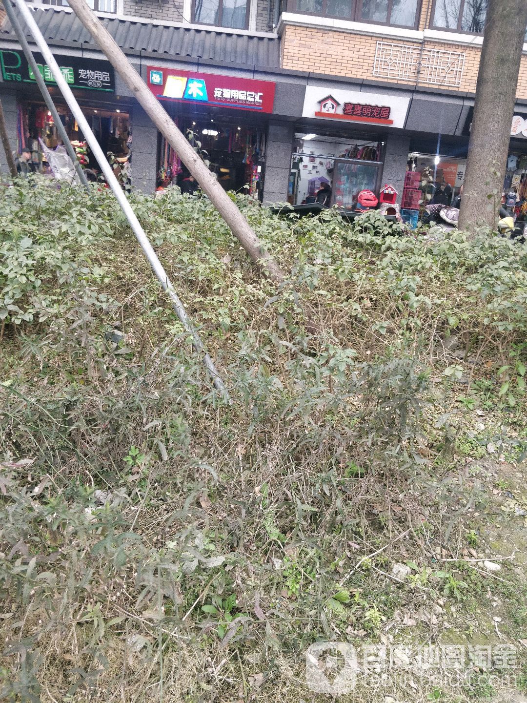 积木宠物用品总汇
