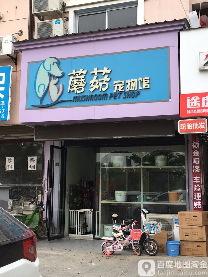 蘑菇宠物馆