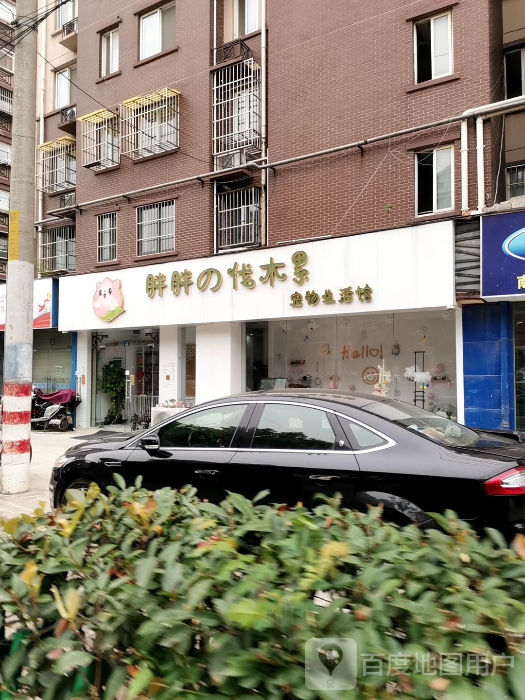 胖胖的伐木累宠物生活馆