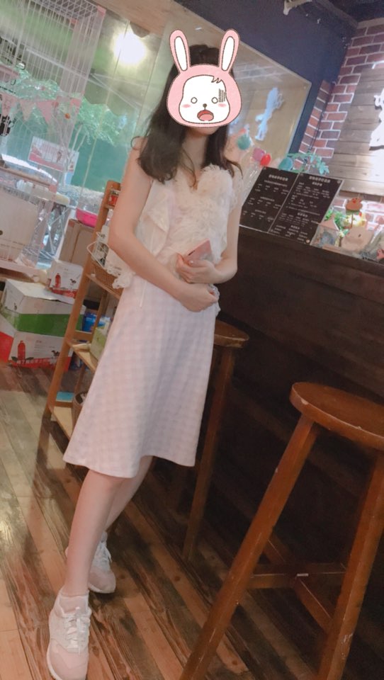 哈尼宠物