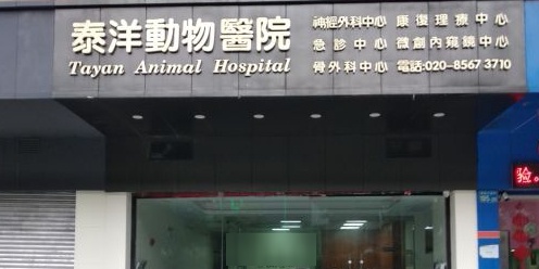 泰洋动物医院