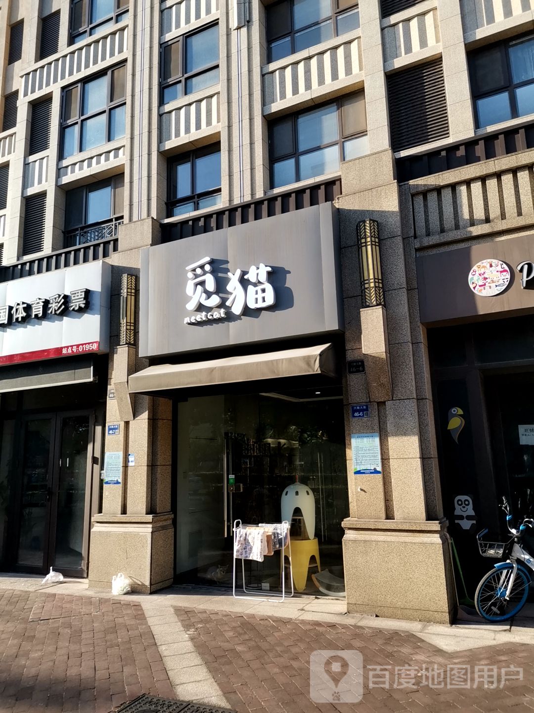 觅猫