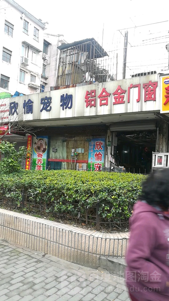 欣愉宠物