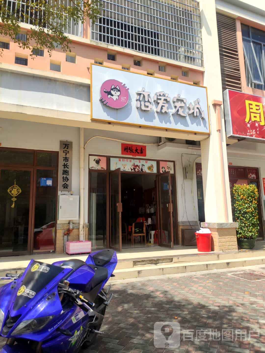 恋爱宠城