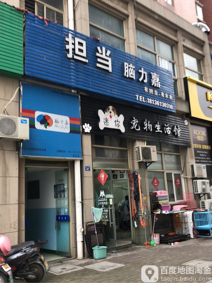 迷你宠物生活馆