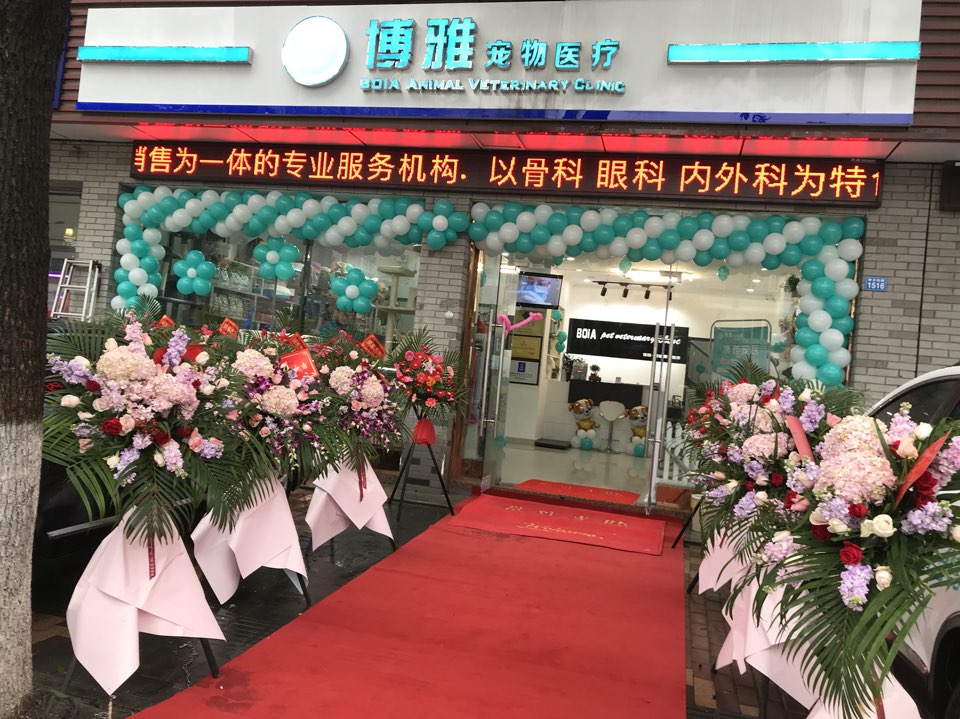 博雅宠物医保
