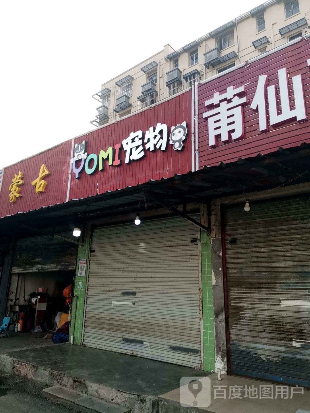YoMi宠物