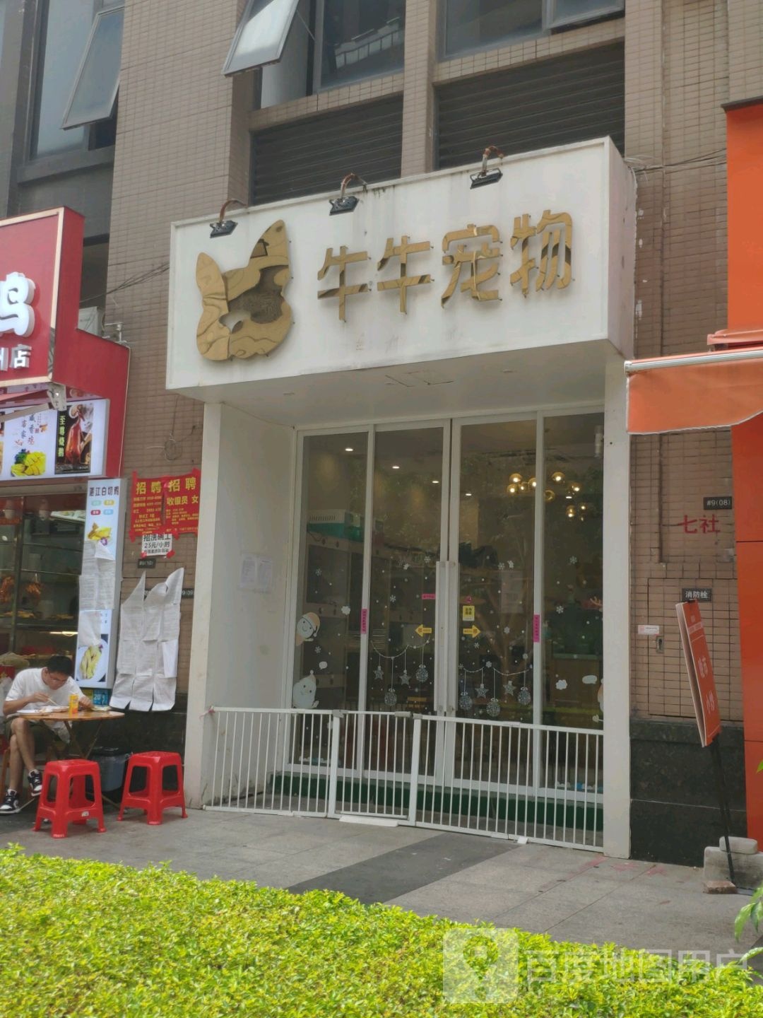 牛牛宠物