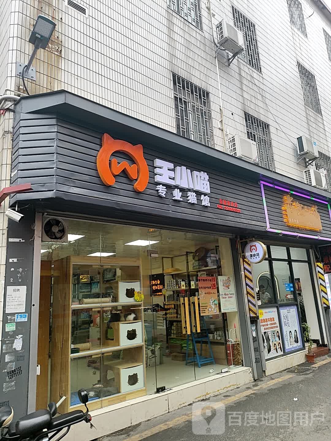 王小喵专业猫馆(东圃富康店)