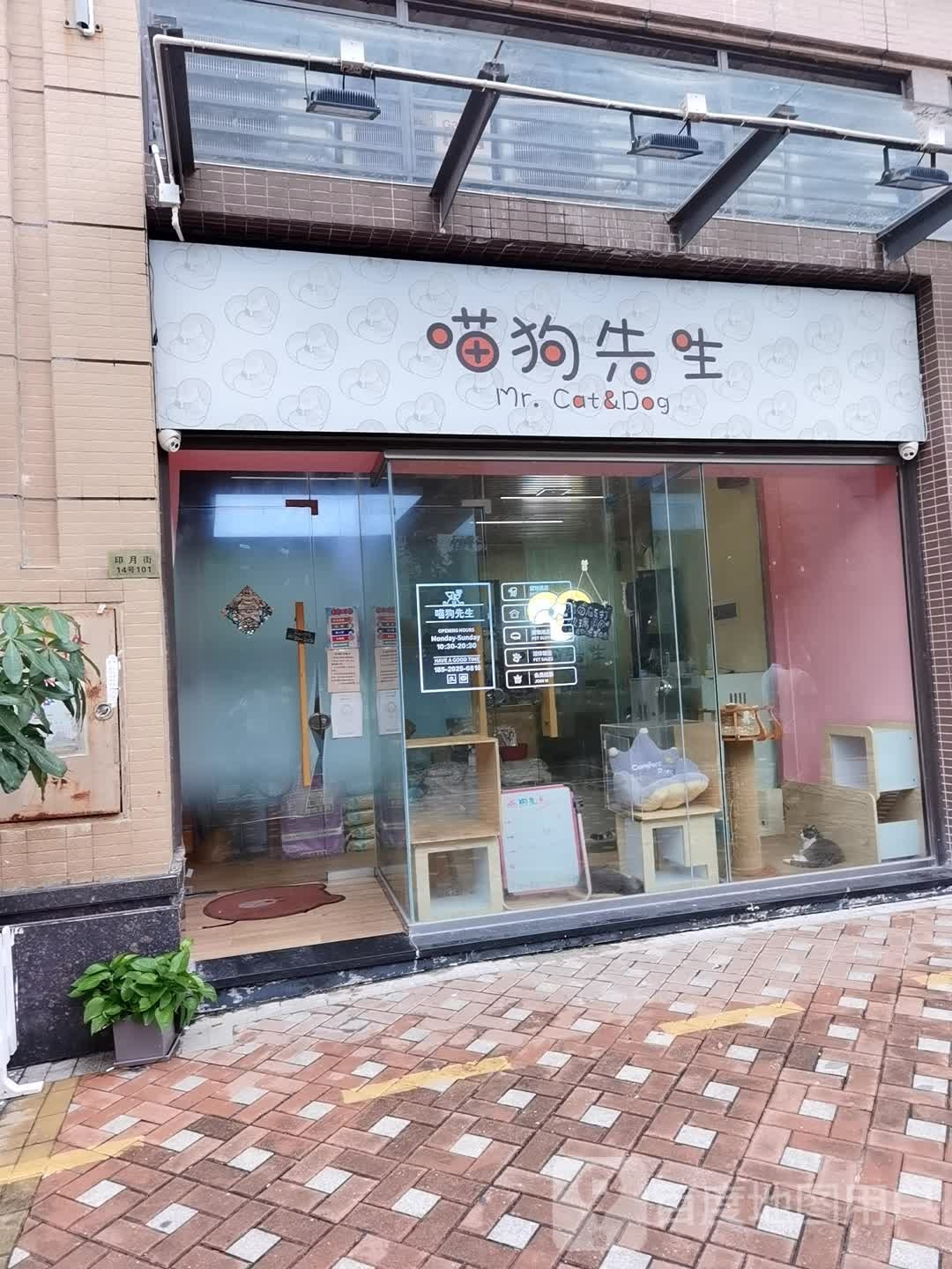 喵狗先生