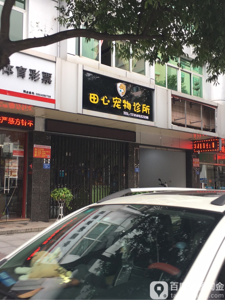 田心宠物诊所