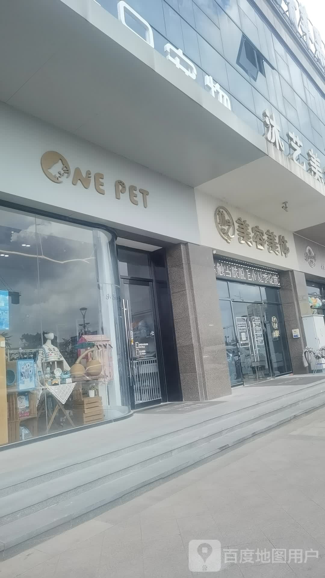 一只宠物