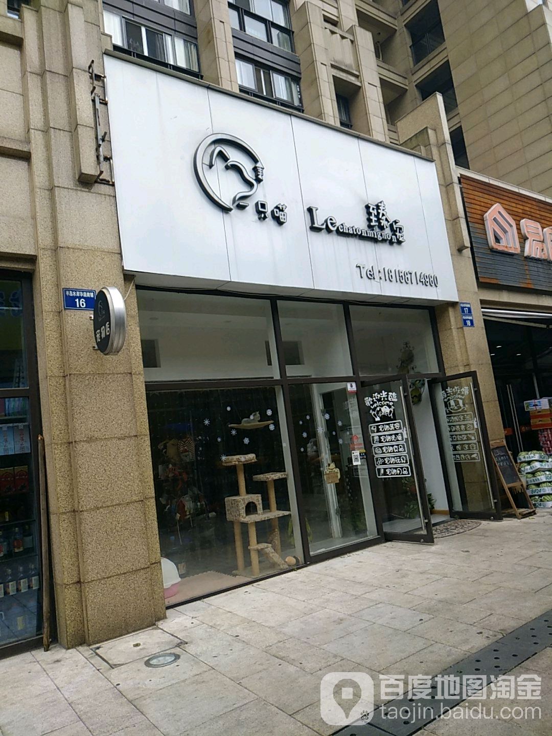一只喵宠物店