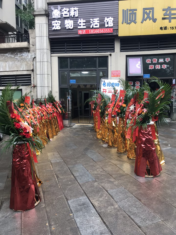 名莉宠物生活馆