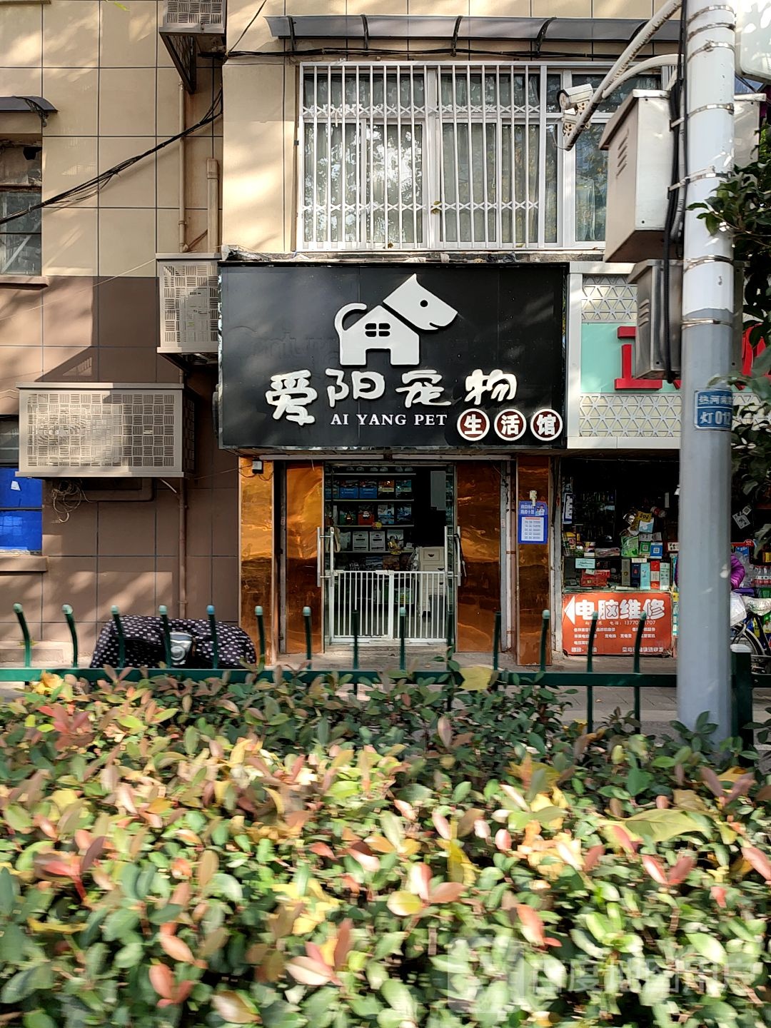 爱阳宠物店