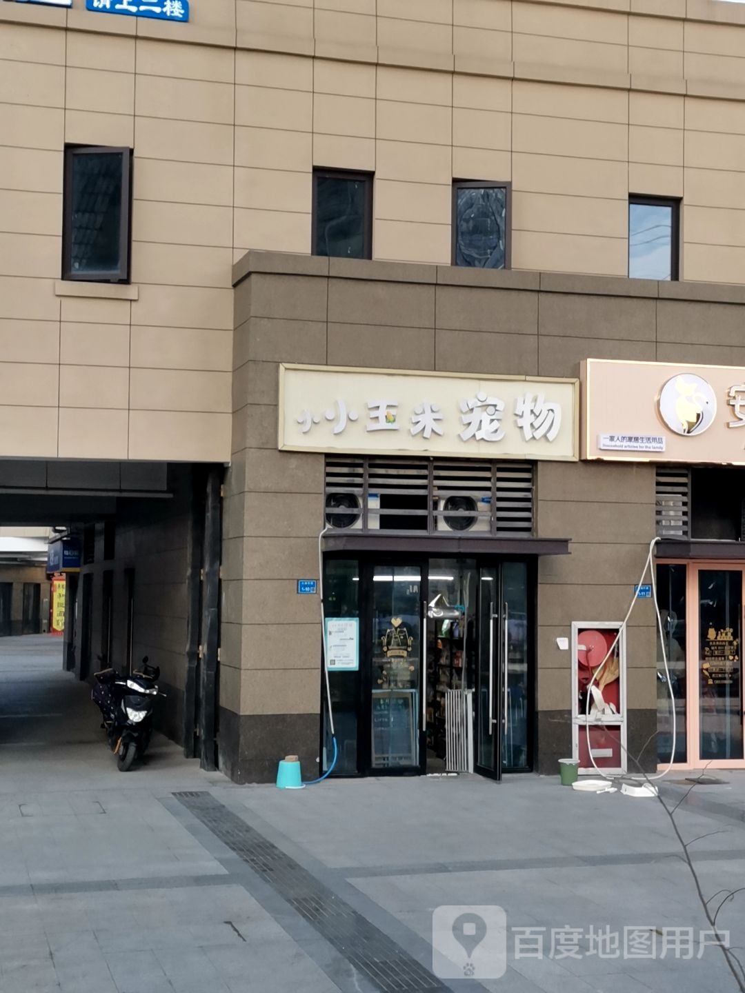 小小玉米宠物